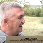 Vinarija ”Fazan” obavila berbu: Kvalitet odličan, prinosi manji (Zemlja izvor života) TV K3