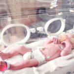 21. novembar, republički praznik i neradni dan