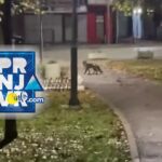 Pokazna vježba evakuacije u školi prnjavorskih vatrogasaca u Donjim Vijačanima Prilog TV K3