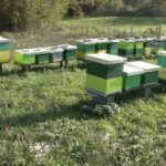 “Nebo fest” u Prnjavoru: Atomsko sklonište, Deminutiv i Infuzija napravili rok ugođaj Prilog TV K3