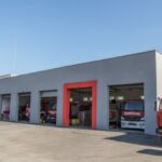 У сјећање на Давида Петровића