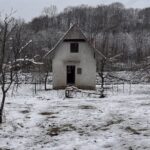 EMIR UBIO ŽENU I SINA (13) Selimović nije pružao otpor tokom hapšenja, policija otkrila kako je pronađen VIDEO