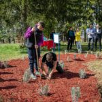 Preliminarna rang lista korisnika i raspodjela novčanih podsticaja za samozapošljavanje na području grada Prnjavor za 2025. godinu