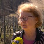 Članovi KK Ipon Prnjavor blistali na Niten karate kupu 2025!