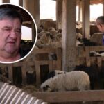 Članovi KK “Ipon” Prnjavor uspješni na međunarodnom turniru u Banjoj Luci