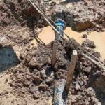 Kakvo je stanje u voćnjacima i zašto su cijene voća toliko visoke? – Početak dana TV K3 (VIDEO)