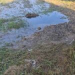 Prva Štrbačka Pasuljijada okuplja ljubitelje kuvanja u prirodi