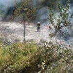 Nikola Sibinčić pobijedio na Blitz turniru za mlade u sklopu Grand Chess Tour Zagreb 2025!