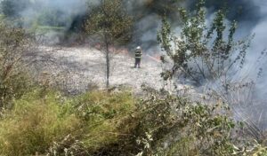 Apel vatrogasaca: Zabranjeno spaljivanje korova zbog opasnosti od požara