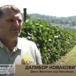 ŽFK Ljubić: Sporazumni raskid saradnje sa trenerom Šobatom, novi trener Dragomir Prodanović