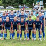 Divlje svinje uništavaju usjeve kukuruza u Palačkovcima