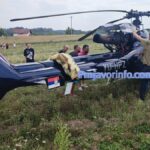 Divlje svinje uništavaju usjeve kukuruza u Palačkovcima