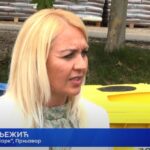 U Vinariji Fazan počela berba grožđa (VIDEO)