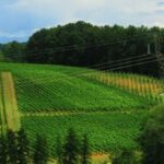 Mladegs Pak d.o.o. raspisuje oglas za posao Inženjer zaštite na radu