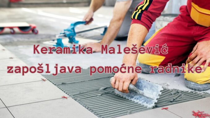 pomocni-radnici-malesevic