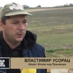 Krsna slava kao redovna aktivnost i čuvar tradicije: SPKD ’’Prosvjeta’’ Prnjavor obilježila Svetu Petku (FOTO/VIDEO)