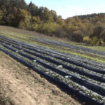 Tekvondo klub Prnjavor treći u ukupnom plasmanu na turniru u Laktašima!
