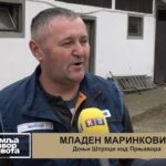 Knjiga “Skloni se da preživiš!”: Istina o pubertetu iz ugla majke i sina – Početak dana TV K3