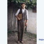 Grad Prnjavor raspisao javnu nabavku za izradu šumskoprivredne osnove