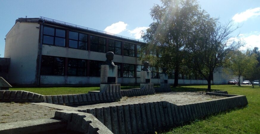 Raspisan konkurs za izbor direktora JU Oล โVuk Karadลพiฤโ Donji Vijaฤani