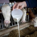 Turnir za slijepe u Prnjavoru okupio pet ekipa: “Svi smo ravnopravni članovi društva” (FOTO)