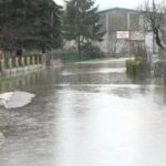 Prinova na ergeli “Vučijak” u Prnjavoru: Stigla Janja