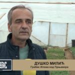 Prnjavorčanin Duško Milić opredjeljen za ranu sadnju povrća Prilog TV K3