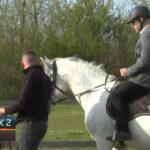 Ergela lipicanera Vučijak dobila neočekivan poklon – iz Lipica stigla tri nova grla Prilog RTRS