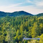 Predstava “Ručni rad” biće odigrana u Centru za kulturu i turizam Prnjavor