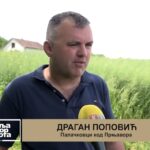 Prnjavor treću godinu zaredom u finalu Lige BiH u elektronskom pikadu