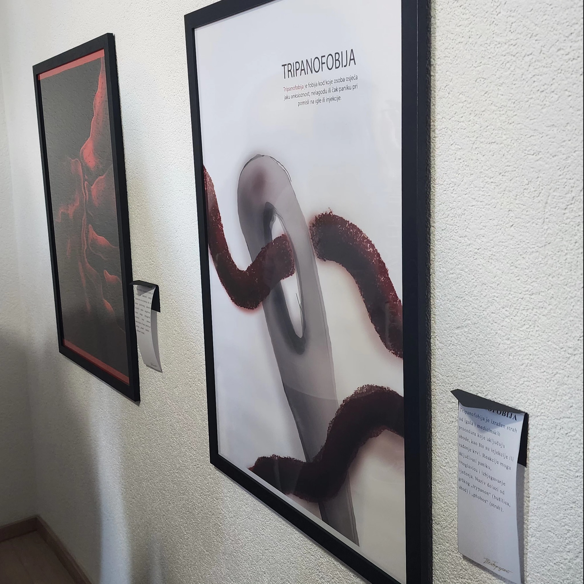 Tea Borodenko predstavila izložbu „Fobije“ u Prnjavoru (FOTO)