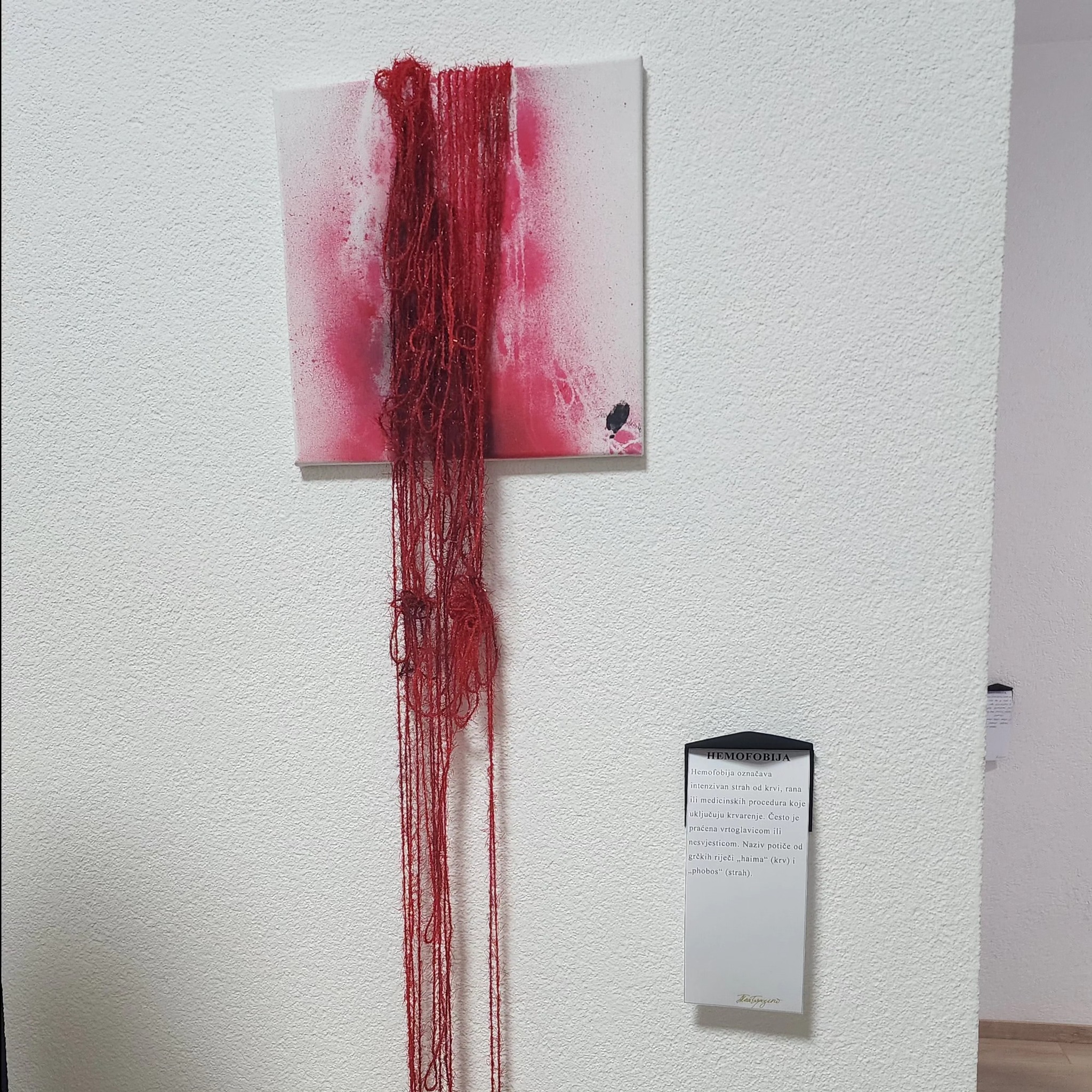 Tea Borodenko predstavila izložbu „Fobije“ u Prnjavoru (FOTO)
