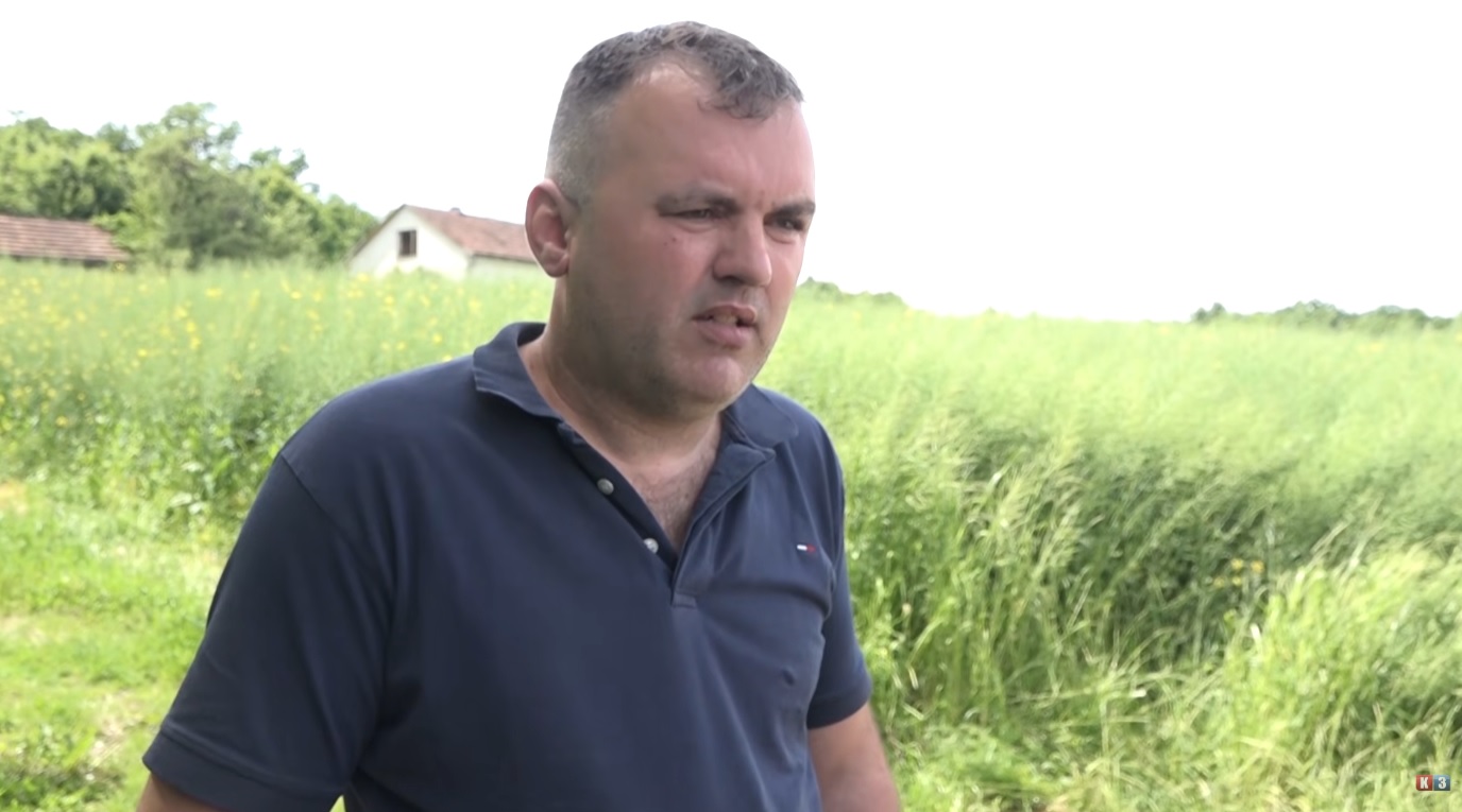 Farma Popović prati razvoj kukuruza i pšenice: Očekuju dobre prinose (Zemlja izvor života) TV K3