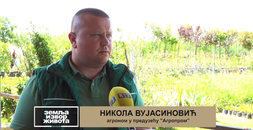 Prnjavorski ”Agroprom” kroz rasadnik daje ispunjenje za okolinu (Zemlja izvor ลพivota) TV K3