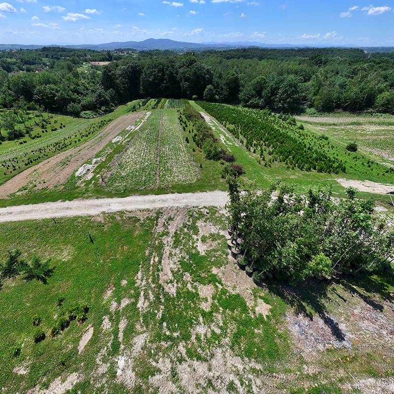 U Agropromu Prnjavor priroda i kvalitet rastu zajedno VIDEO/FOTO