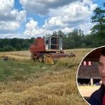 Boban i Marko iz Štrbaca očekuju rekordnu žetvu: “Sve je ove godine išlo na ruku”