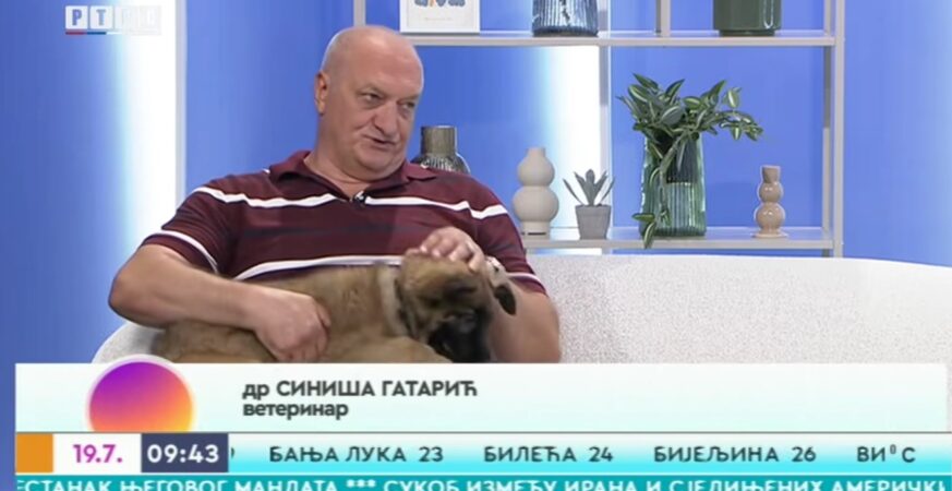 Gatariฤ: Ljudi su shvatili da su kuฤni ljubimci jedna velika potreba i da oplemenjuju duลกu RTRS