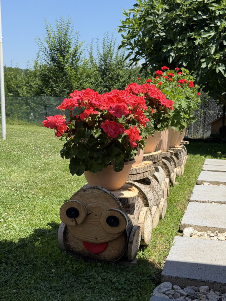 Izabrana najuređenija dvorišta