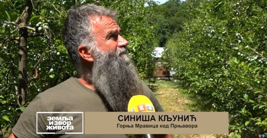 Voฤarsko ljeto u Prnjavoru: Porodica Kljuniฤ oฤekuje dobre prinose (Zemlja izvor ลพivota) TV K3