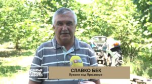 Slavko Bek očekuje dobar rod lješnika: Presudne vremenske prilike (Zemlja izvor života) TV K3