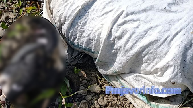 Veterinarski inspektor uklonio leš ovna iz rijeke Ukrine