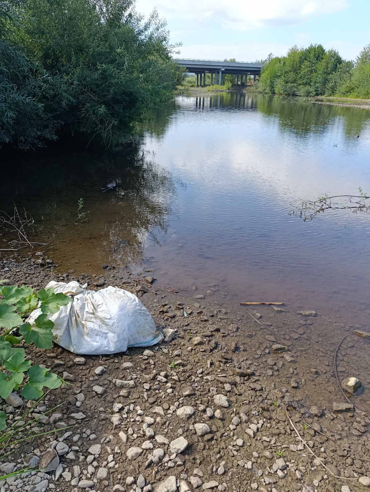 Veterinarski inspektor uklonio leš ovna iz rijeke Ukrine