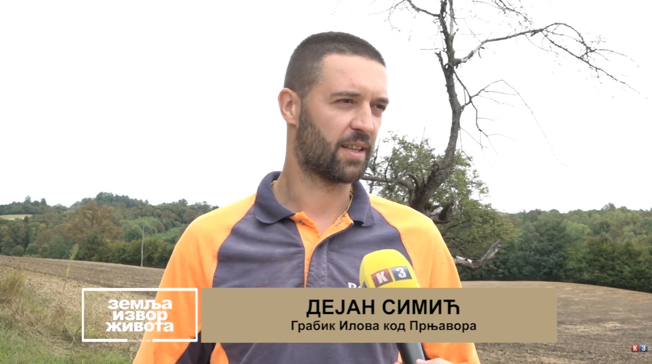 Farma Simić posijala djetelinu: Travnata materija ključna za krave (Zemlja izvor života) TV K3