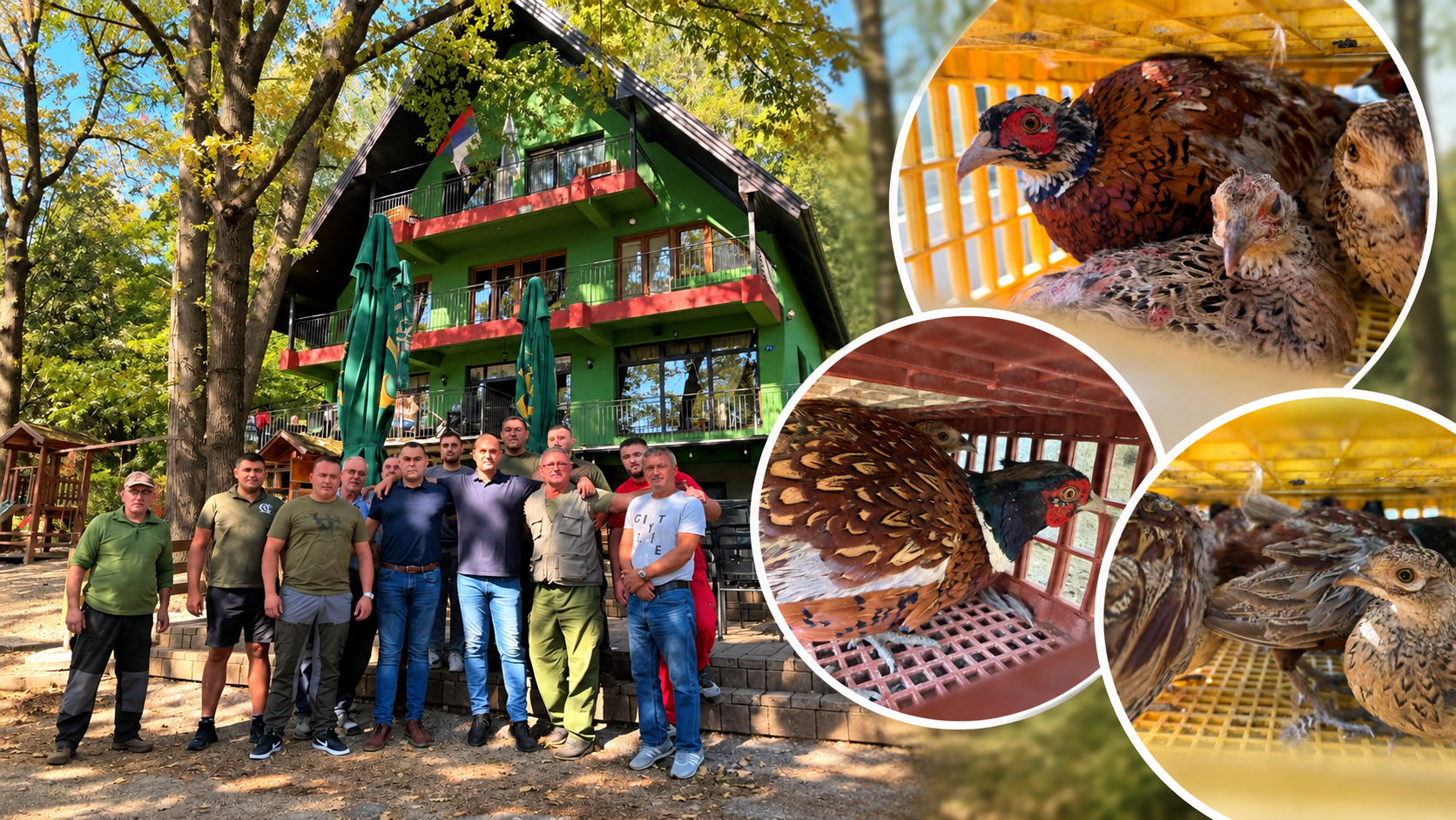 LU “Borik” Prnjavor pustio 500 fazanskih jedinki u lovište