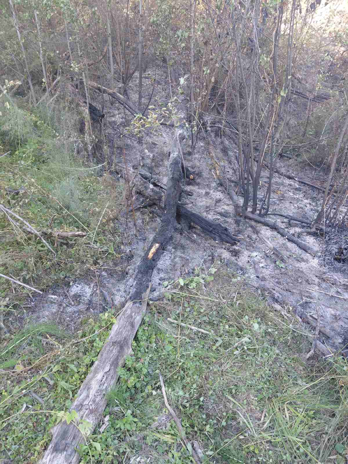 Težak dan za prnjavorske vatrogasce: Šest požara na otvorenom, najteže u Gornjoj Ilovi