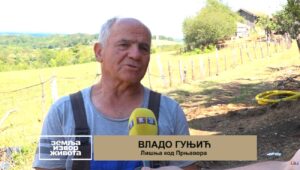 Cijene ovaca nerentabilne: Prnjavorski ovčari traže bolji položaj (Zemlja izvor života) TV K3