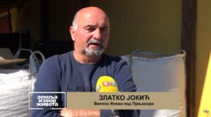 Farma Jokić uprkos suši napunila ostave i silažnike (Zemlja izvor života) TV K3